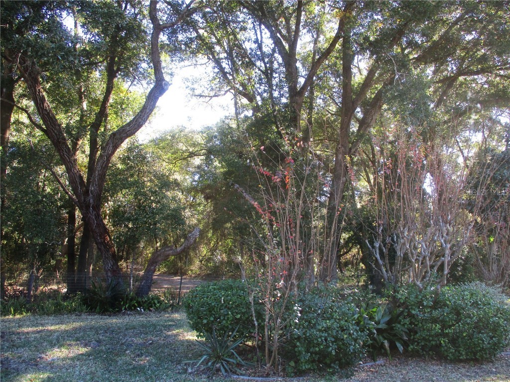 14652 SW 112th Circle Dunnellon FL 34432 OM714785 image55