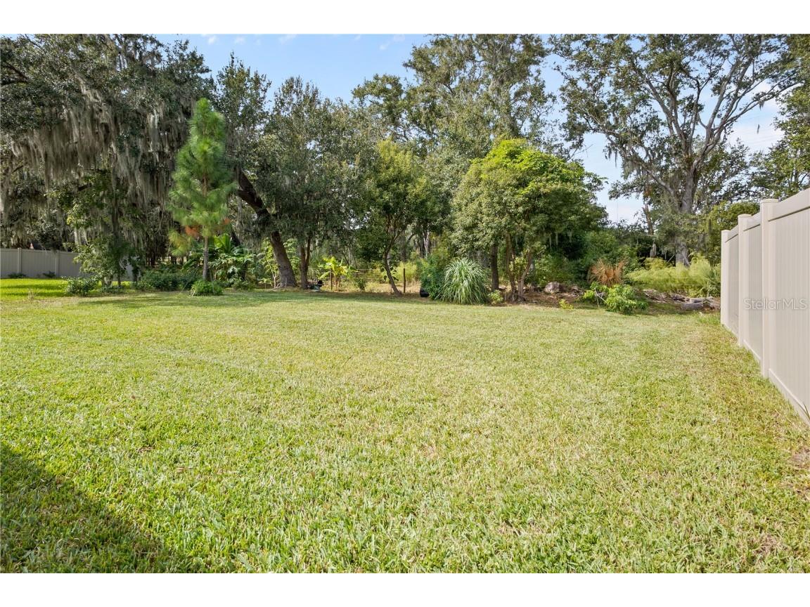 14654 Horse Trot Road Lithia FL 33547 TB8444412 image39