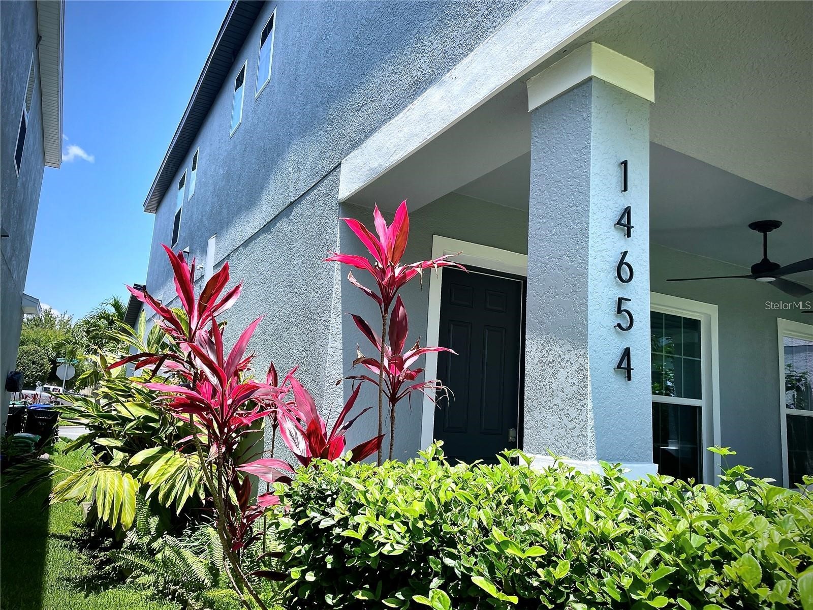 14654 Watowan Alley Winter Garden FL 34787 TB8523613 image3