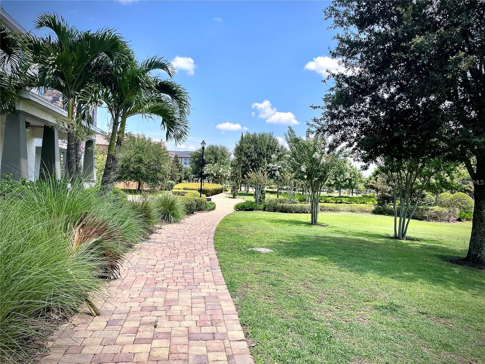 14654 Watowan Alley Winter Garden FL 34787 TB8523613 image52