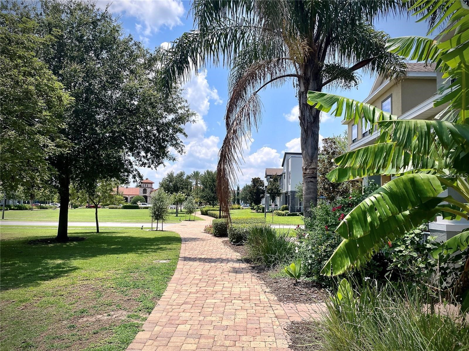 14654 Watowan Alley Winter Garden FL 34787 TB8523613 image53