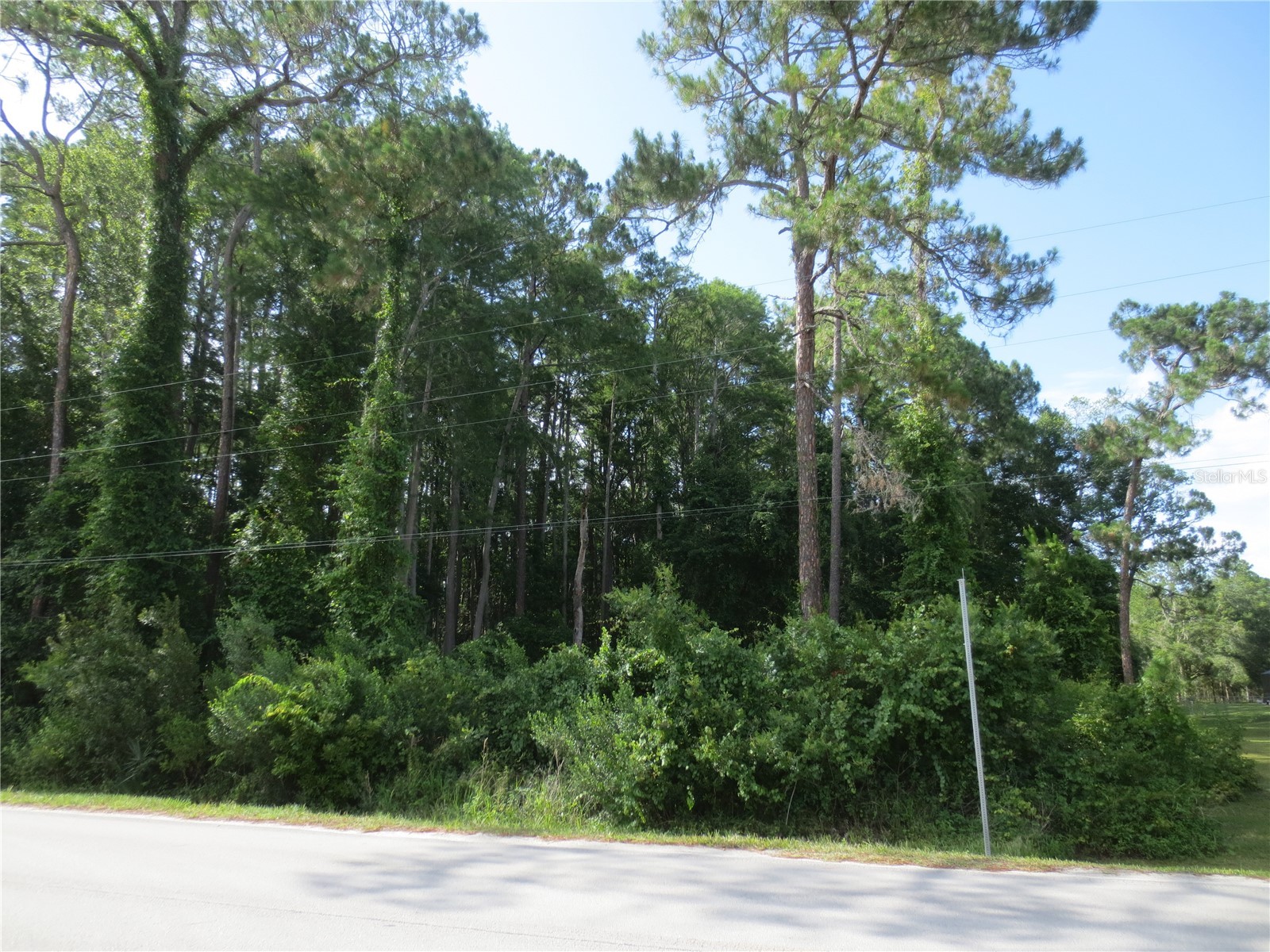 14655 NE 14th Street Road Silver Springs FL 34488 OM722381 image1