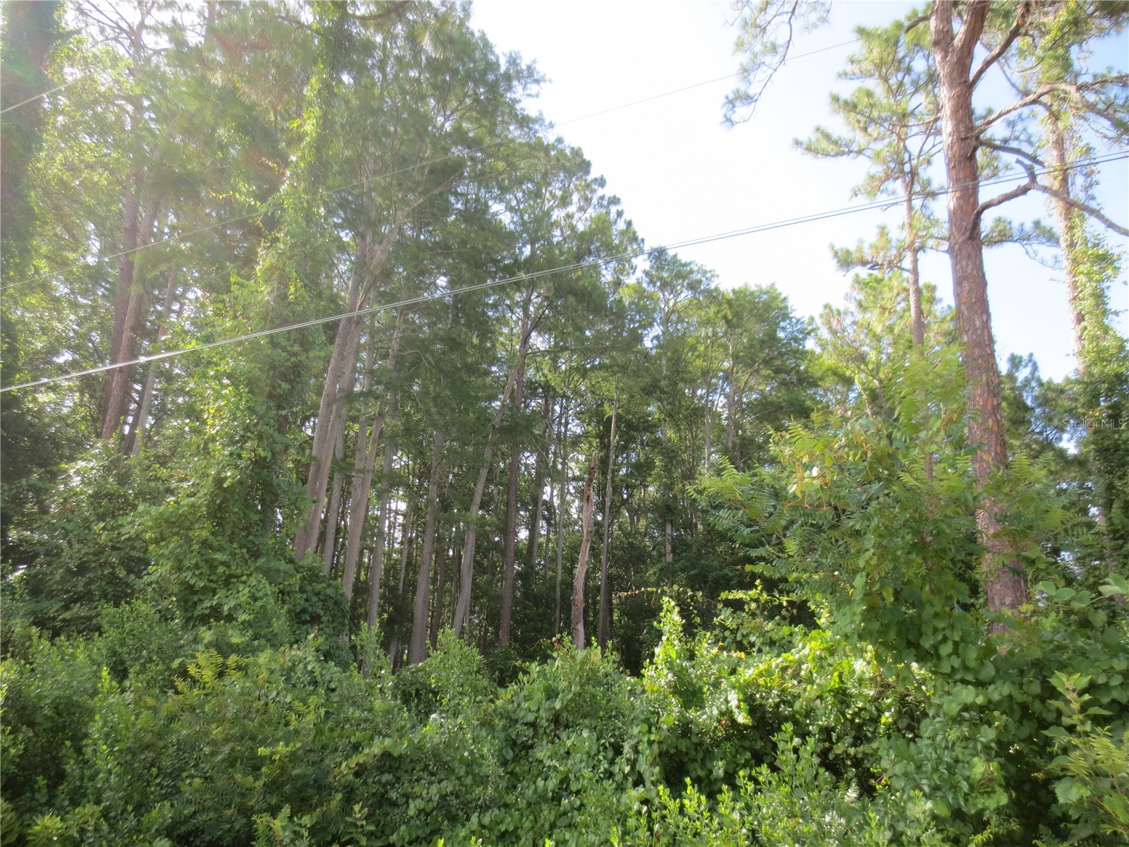 14655 NE 14th Street Road Silver Springs FL 34488 OM722381 image3