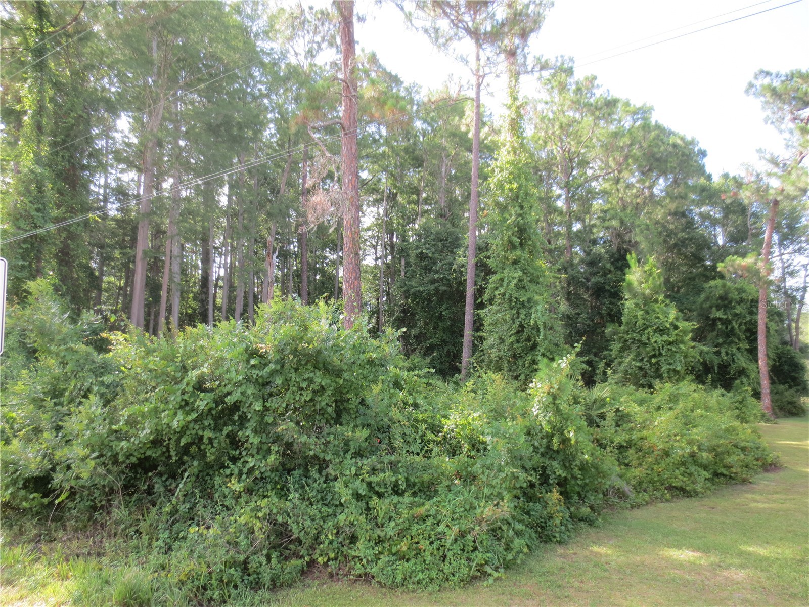 14655 NE 14th Street Road Silver Springs FL 34488 OM722381 image4