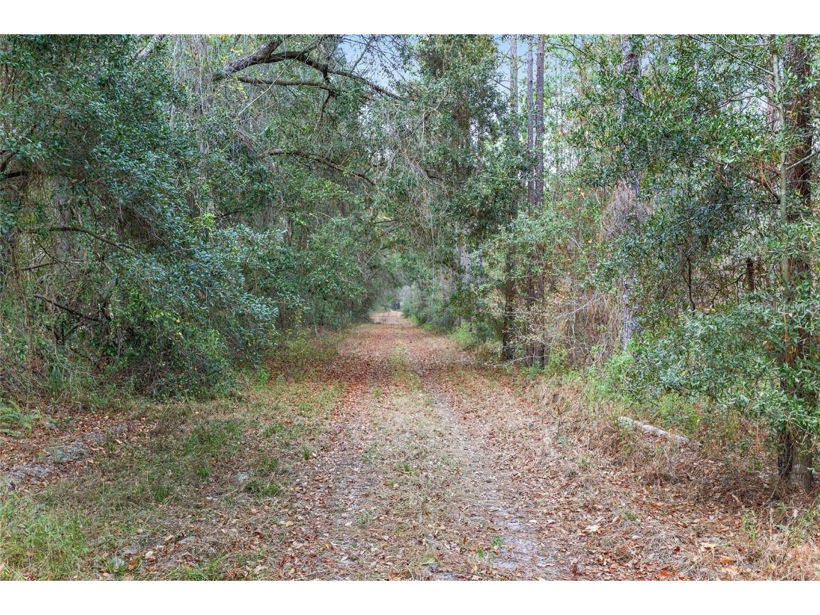 14655 SW 117th Court Dunnellon FL 34432 OM713339 image90