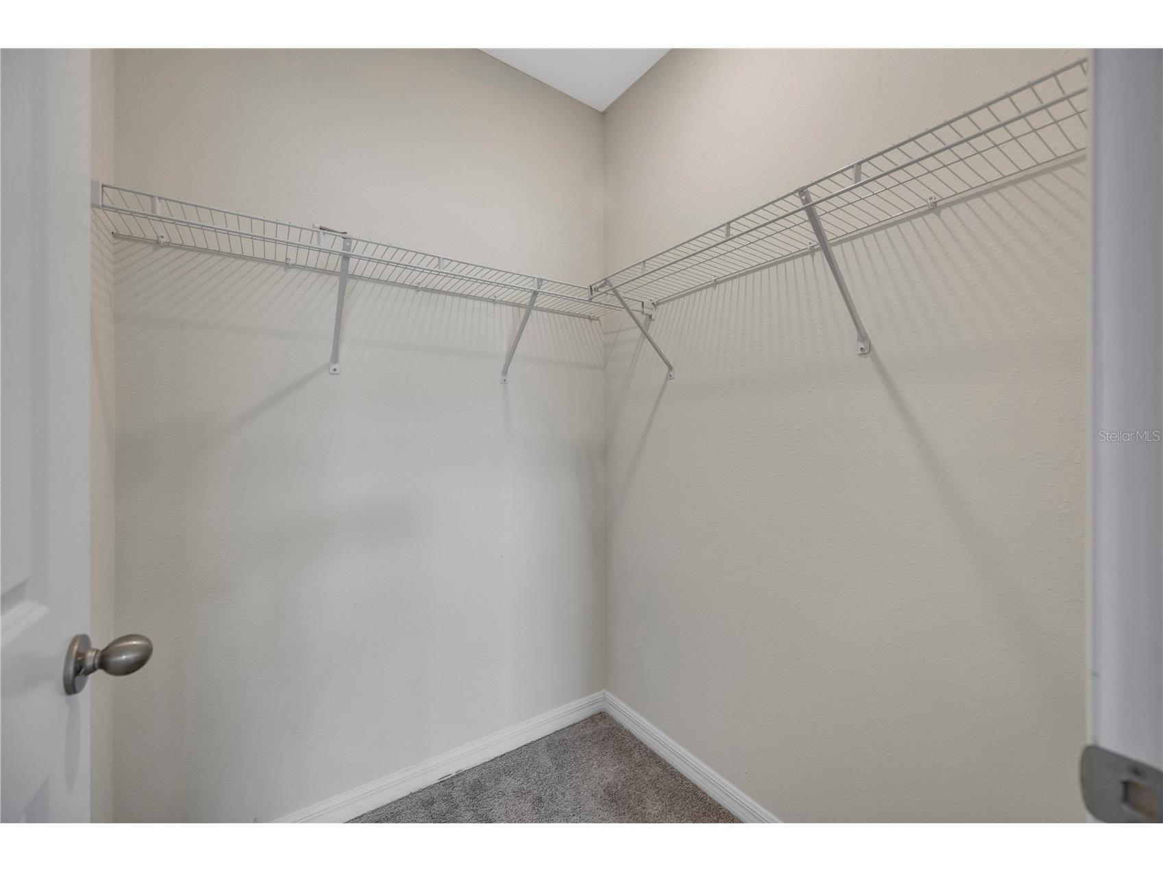1466 Colt Creek Place Wesley Chapel FL 33543 TB8507095 image38