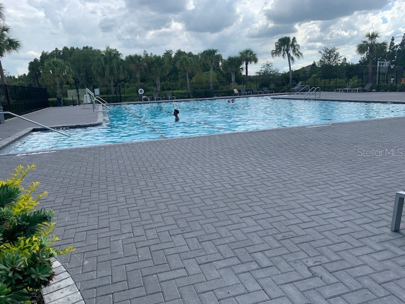 1466 Colt Creek Place Wesley Chapel FL 33543 TB8507095 image56