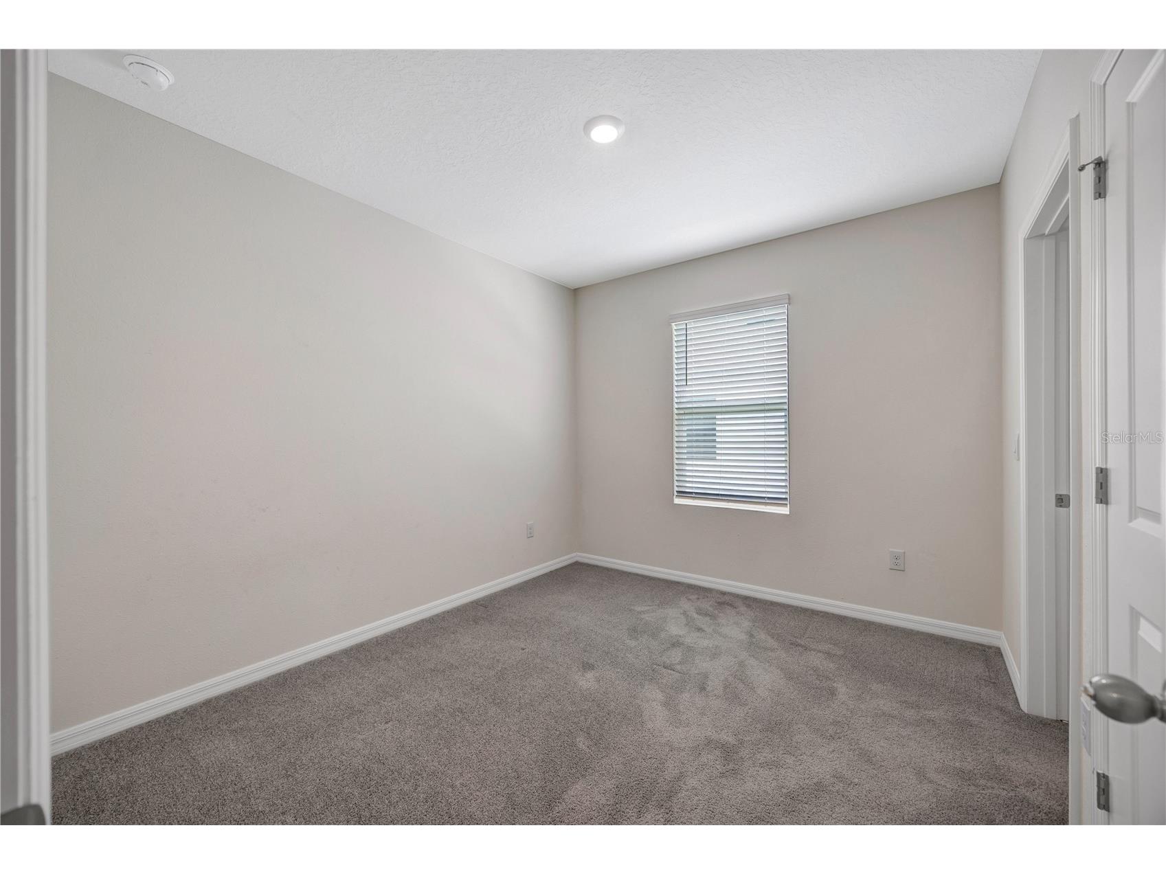 1466 Colt Creek Place Wesley Chapel FL 33543 TB8507102 image31