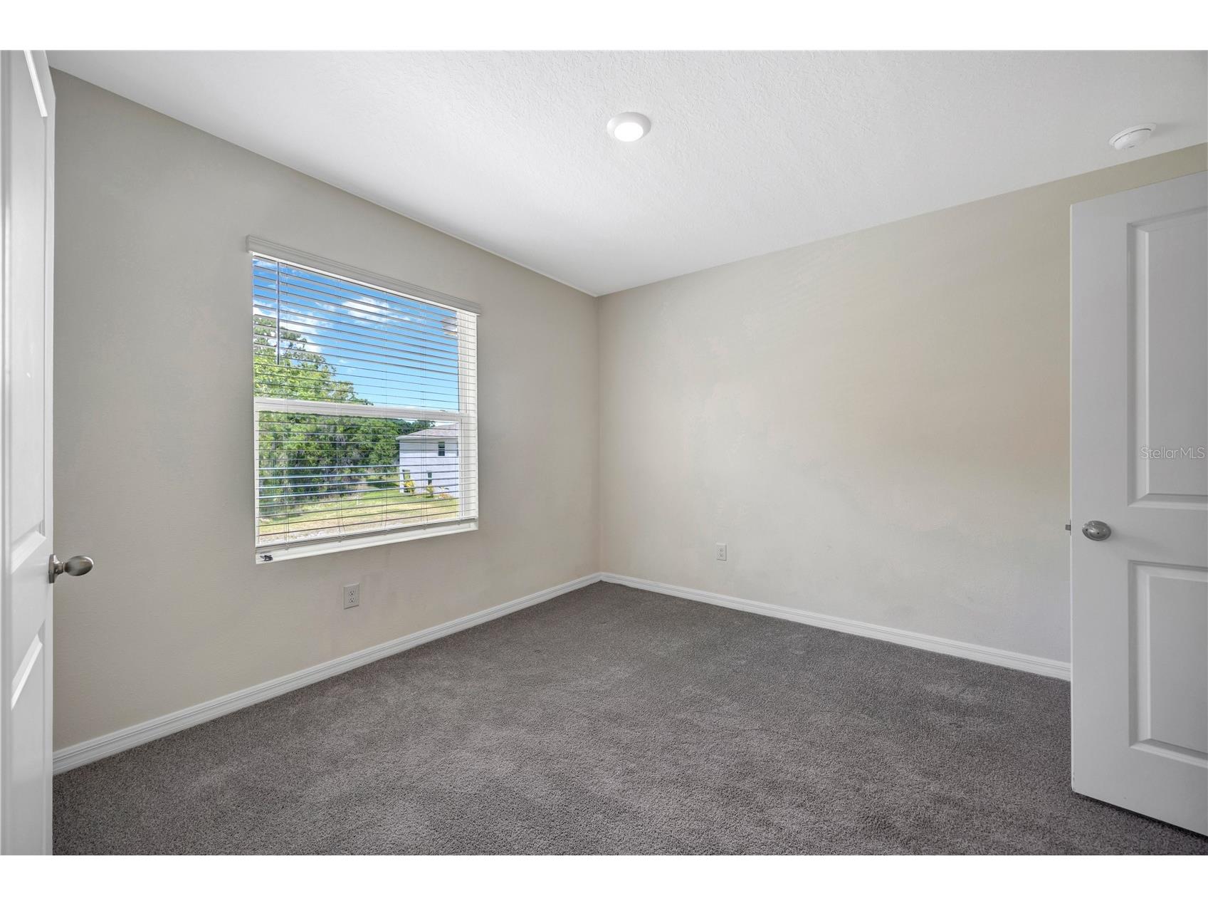 1466 Colt Creek Place Wesley Chapel FL 33543 TB8507102 image35