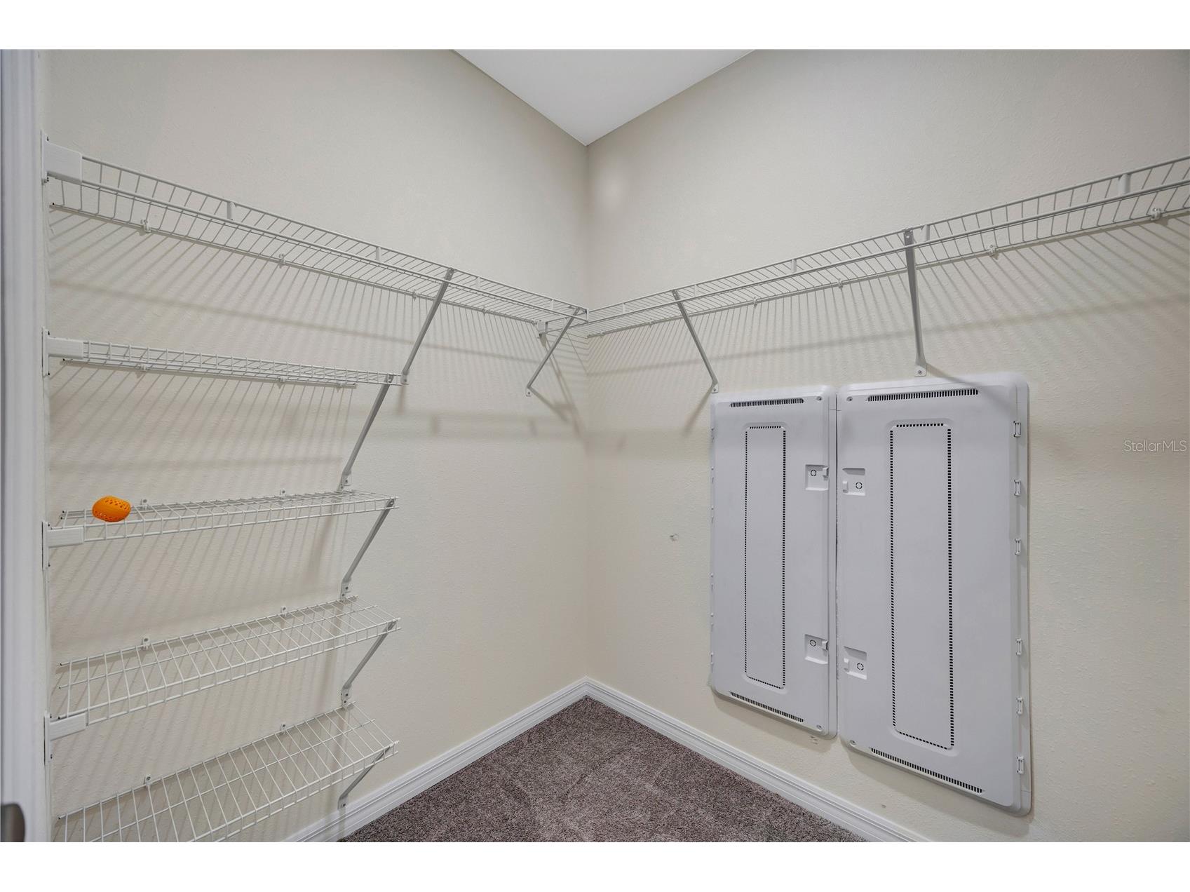 1466 Colt Creek Place Wesley Chapel FL 33543 TB8507102 image46