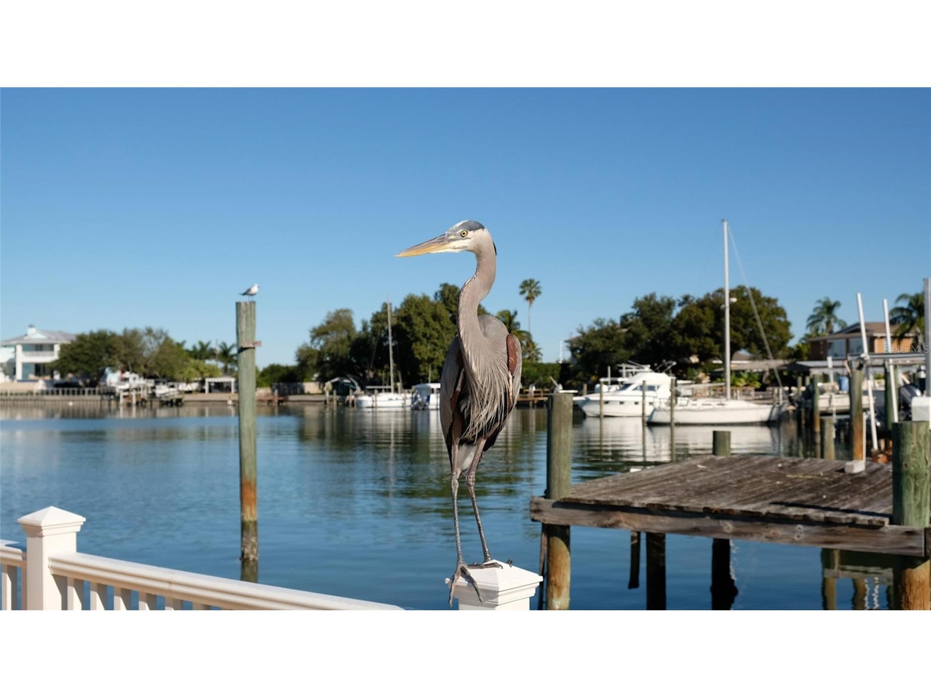 1466 Laura Street Clearwater FL 33755 TB8514528 image45