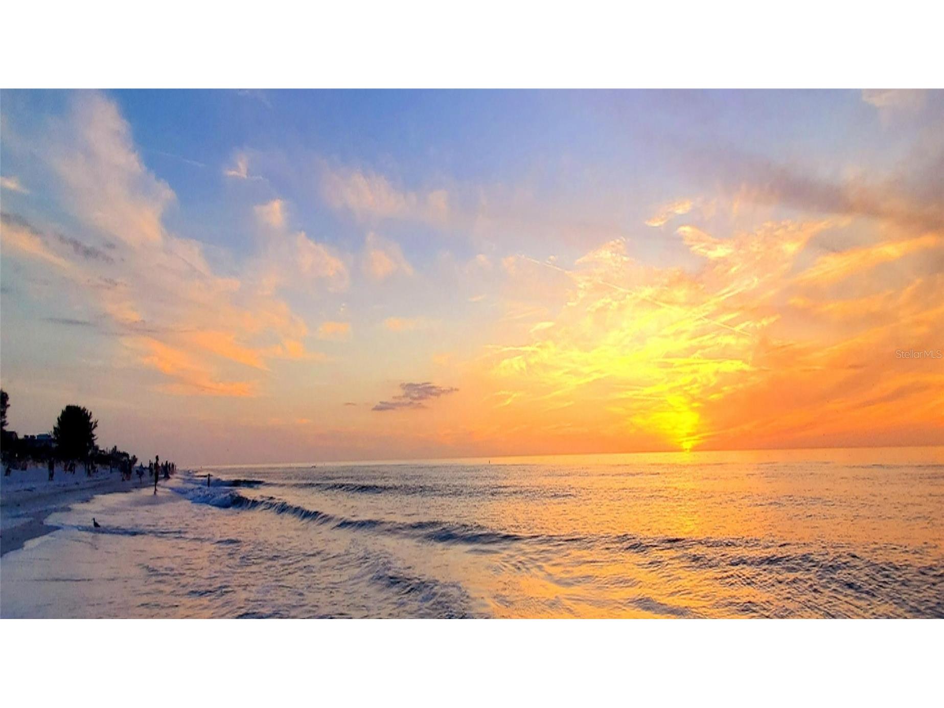 1466 Laura Street Clearwater FL 33755 TB8514528 image46