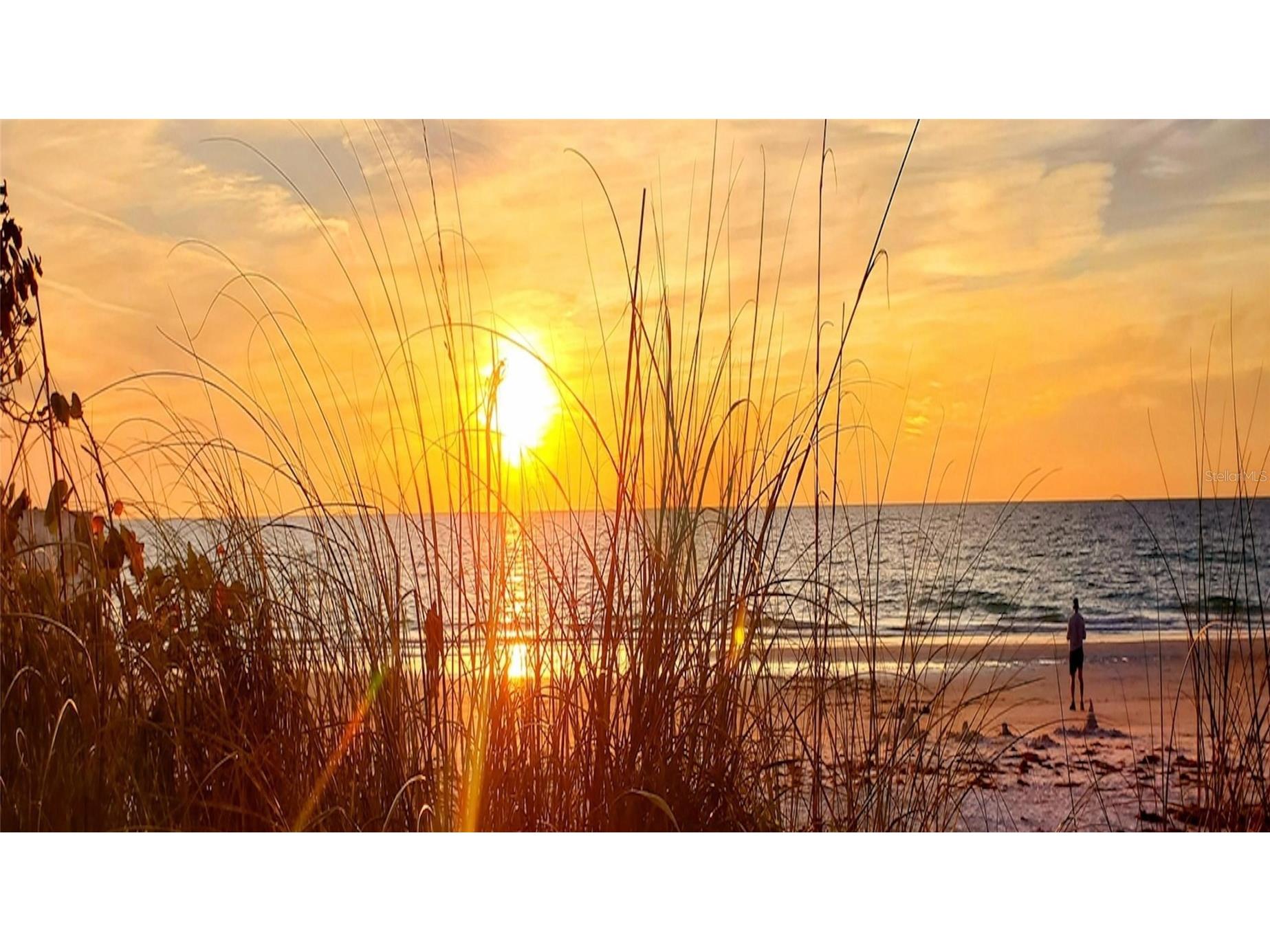 1466 Laura Street Clearwater FL 33755 TB8514528 image47