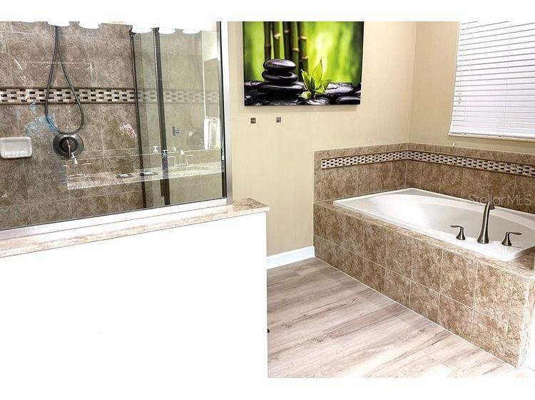 1466 Moon Valley Dr Champions Gate FL 33896 O6306328 image13