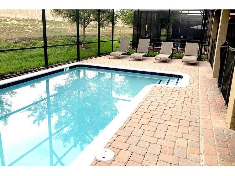 1466 Moon Valley Dr Champions Gate FL 33896 O6306328 image52