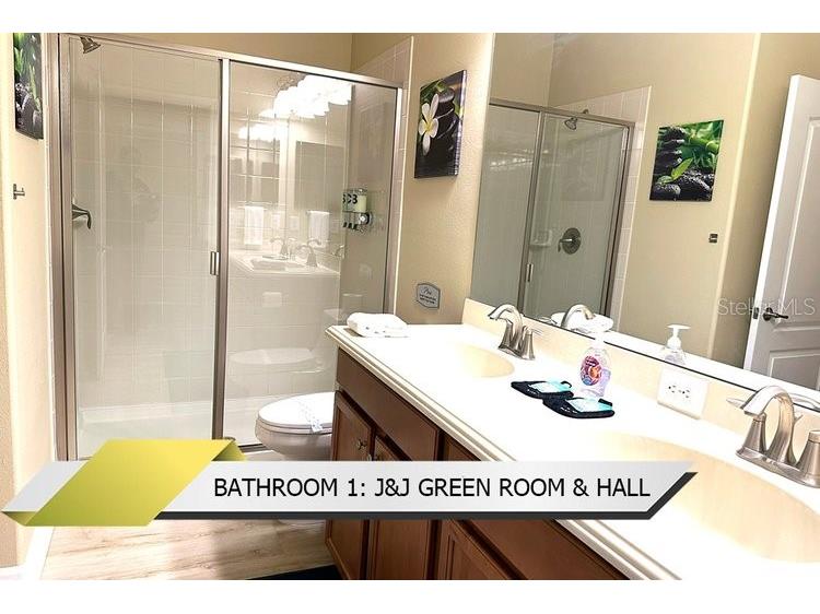 1466 Moon Valley Dr Champions Gate FL 33896 O6306328 image9