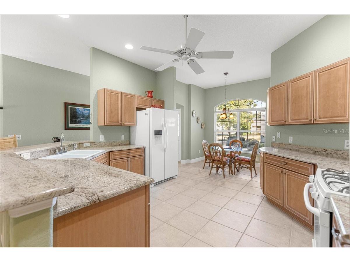 1466 Perry Lane The Villages FL 32162 OM717517 image10