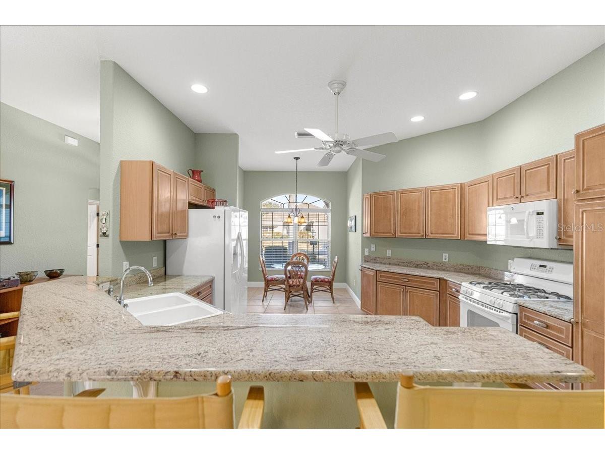 1466 Perry Lane The Villages FL 32162 OM717517 image11