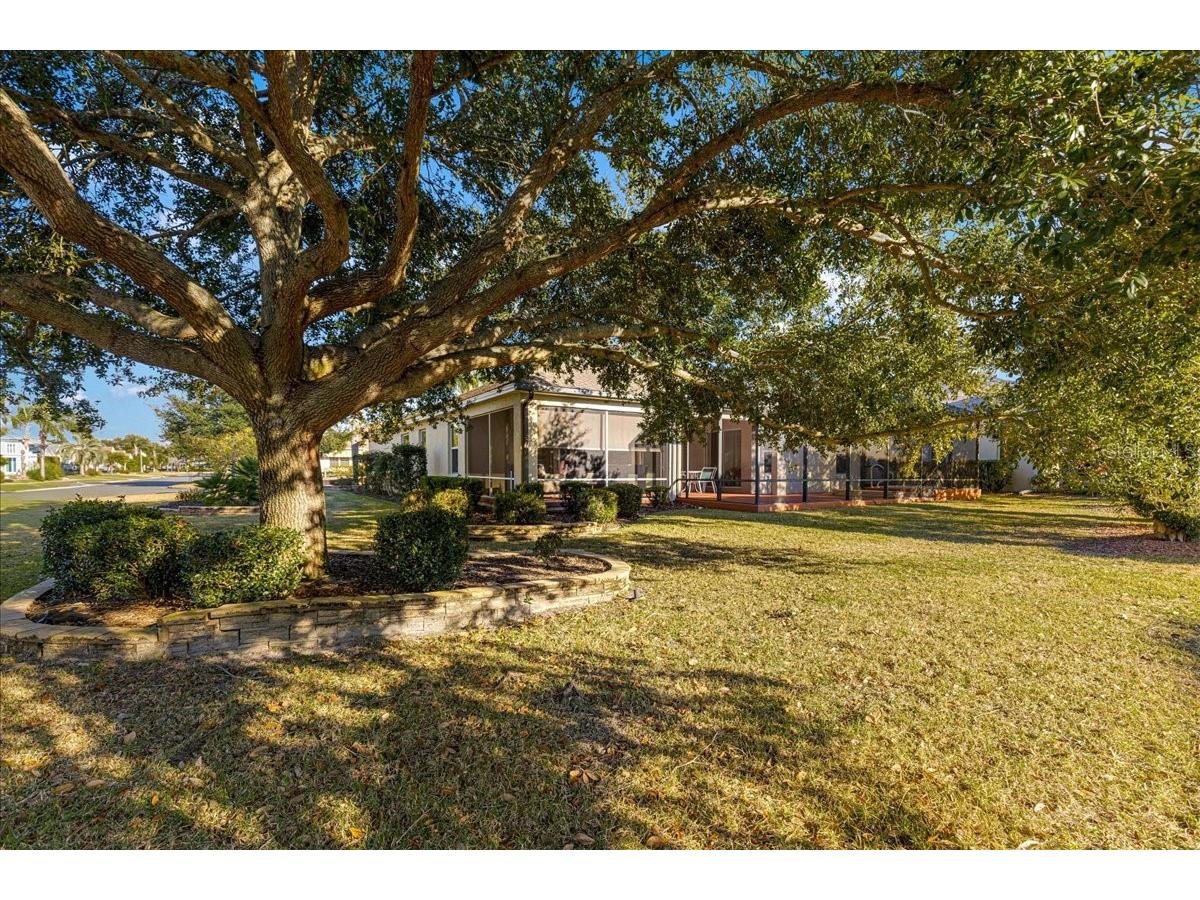 1466 Perry Lane The Villages FL 32162 OM717517 image49