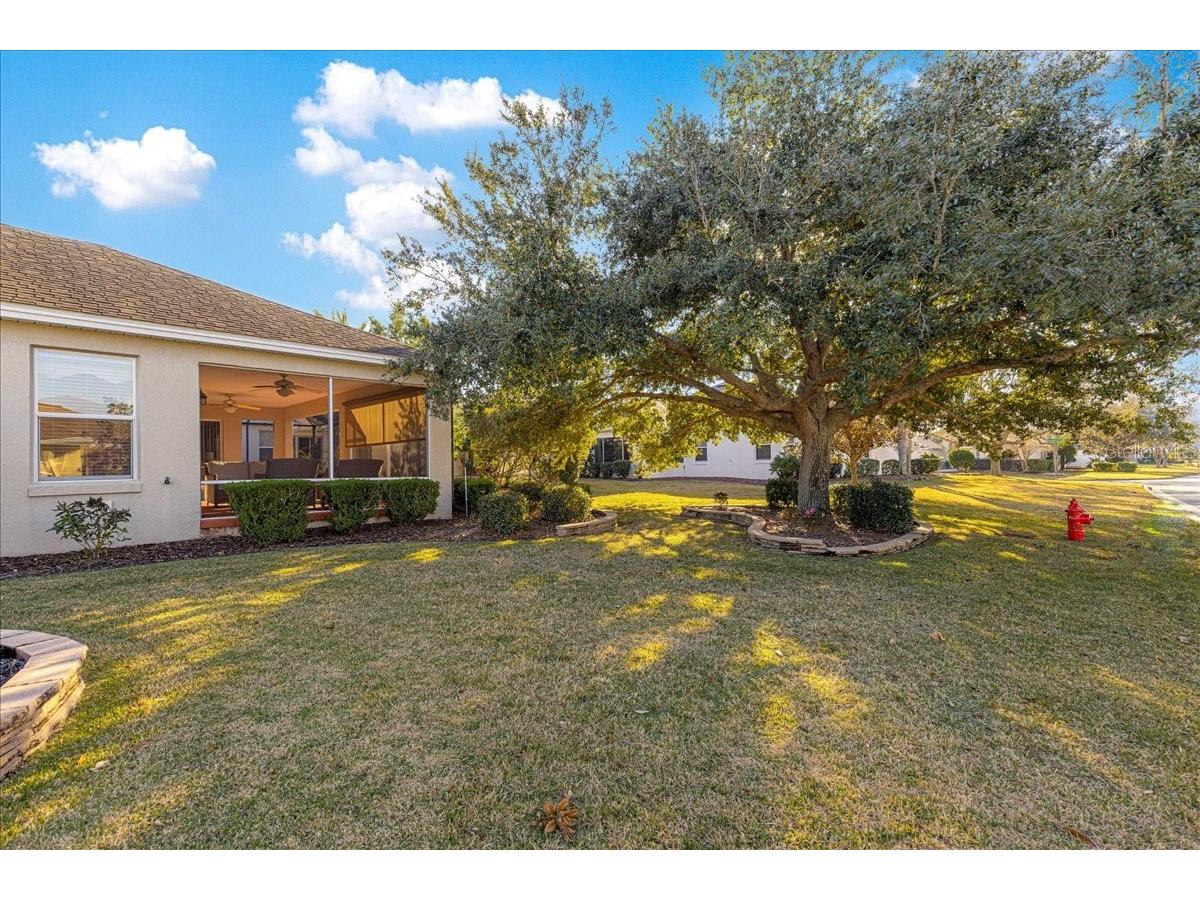 1466 Perry Lane The Villages FL 32162 OM717517 image51