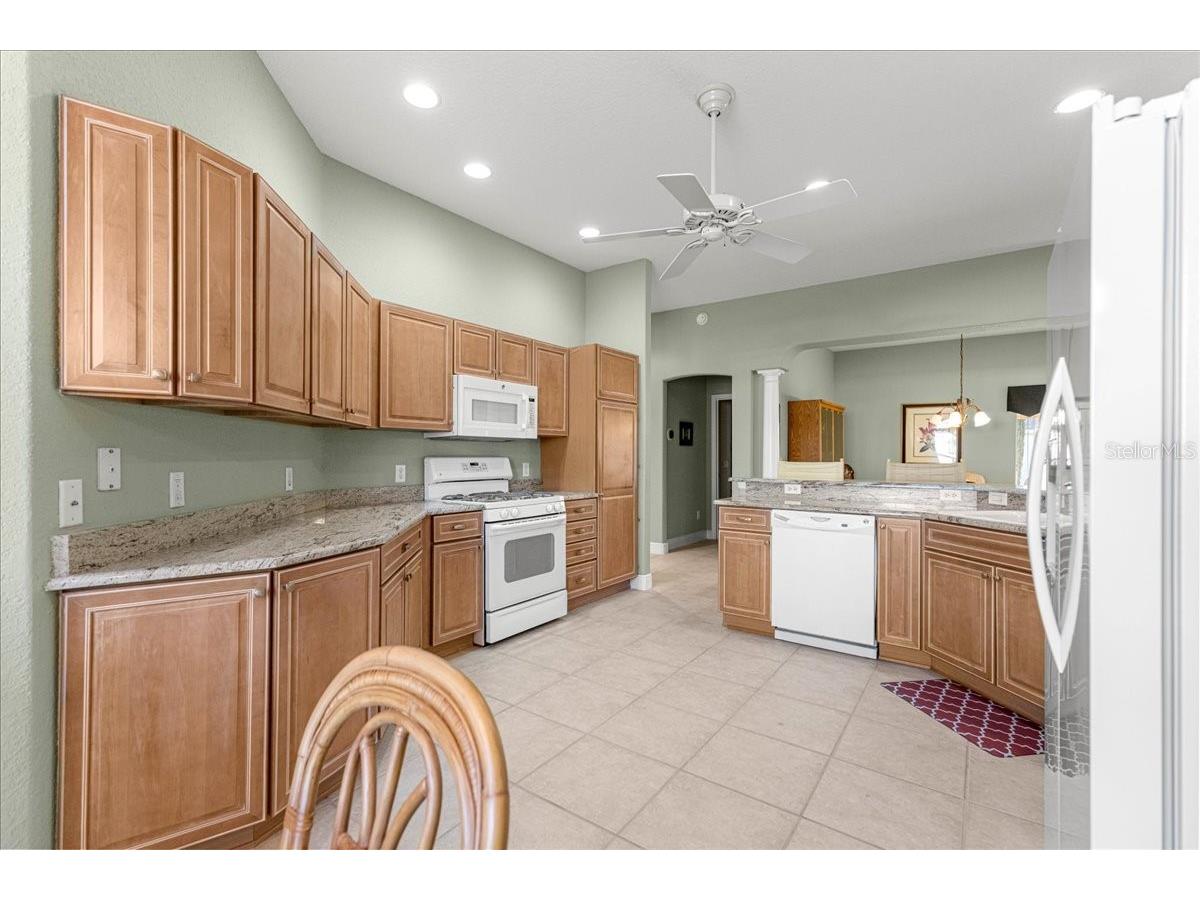 1466 Perry Lane The Villages FL 32162 OM717517 image8