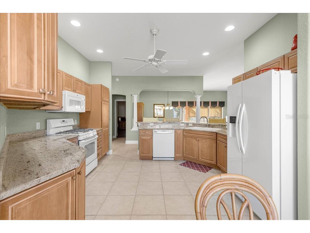 1466 Perry Lane The Villages FL 32162 OM717517 image9