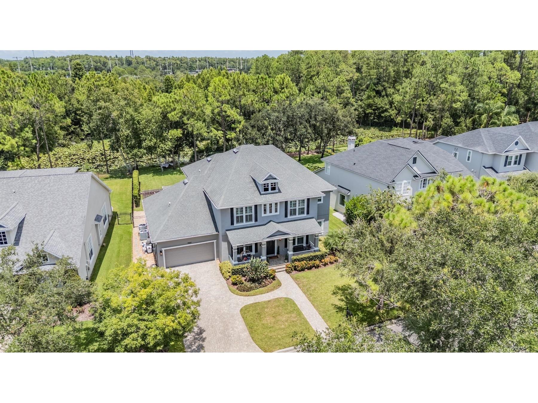 14661 Canopy Drive Tampa FL 33626 TB8514396 image3