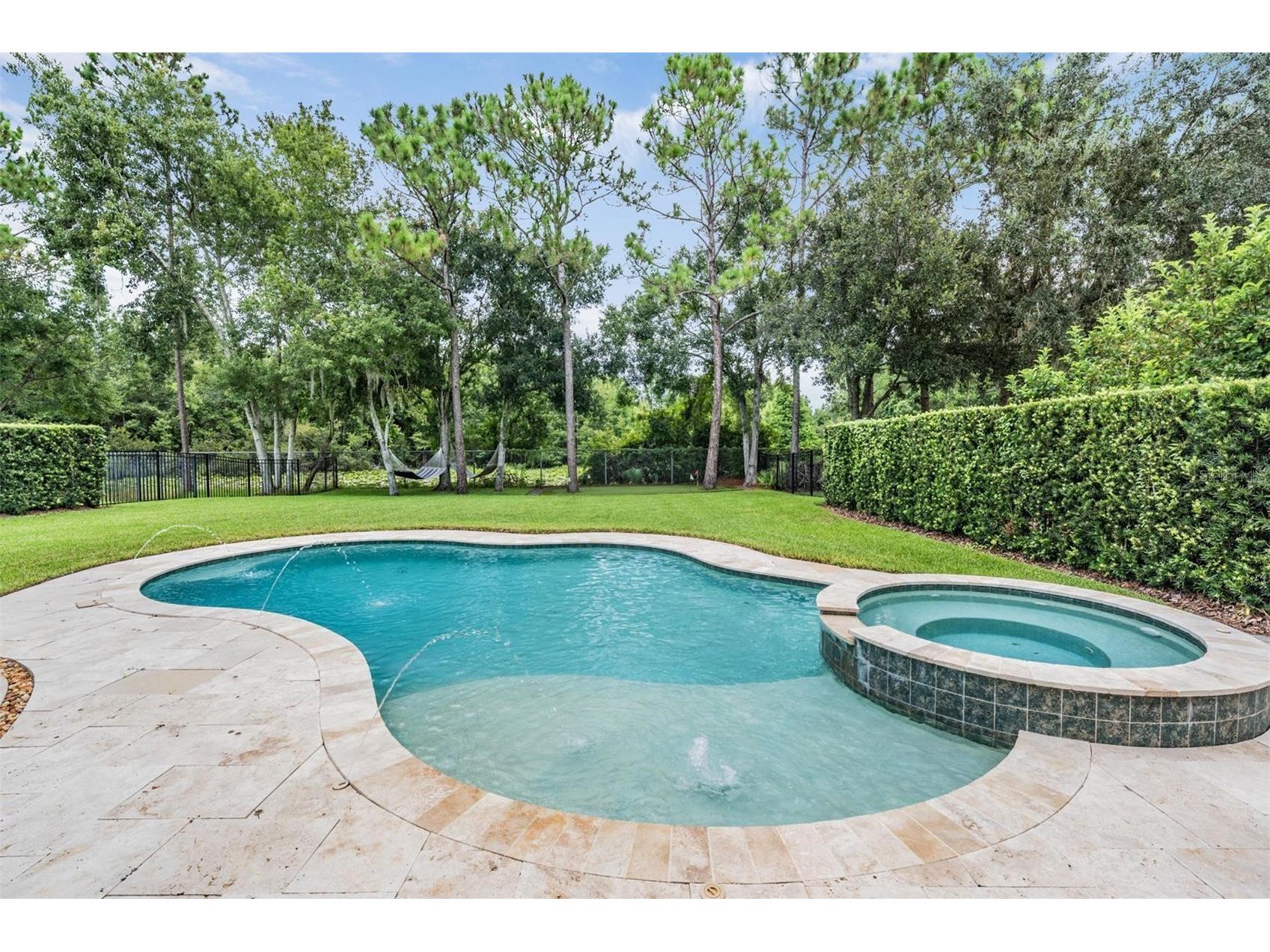 14661 Canopy Drive Tampa FL 33626 TB8514396 image5