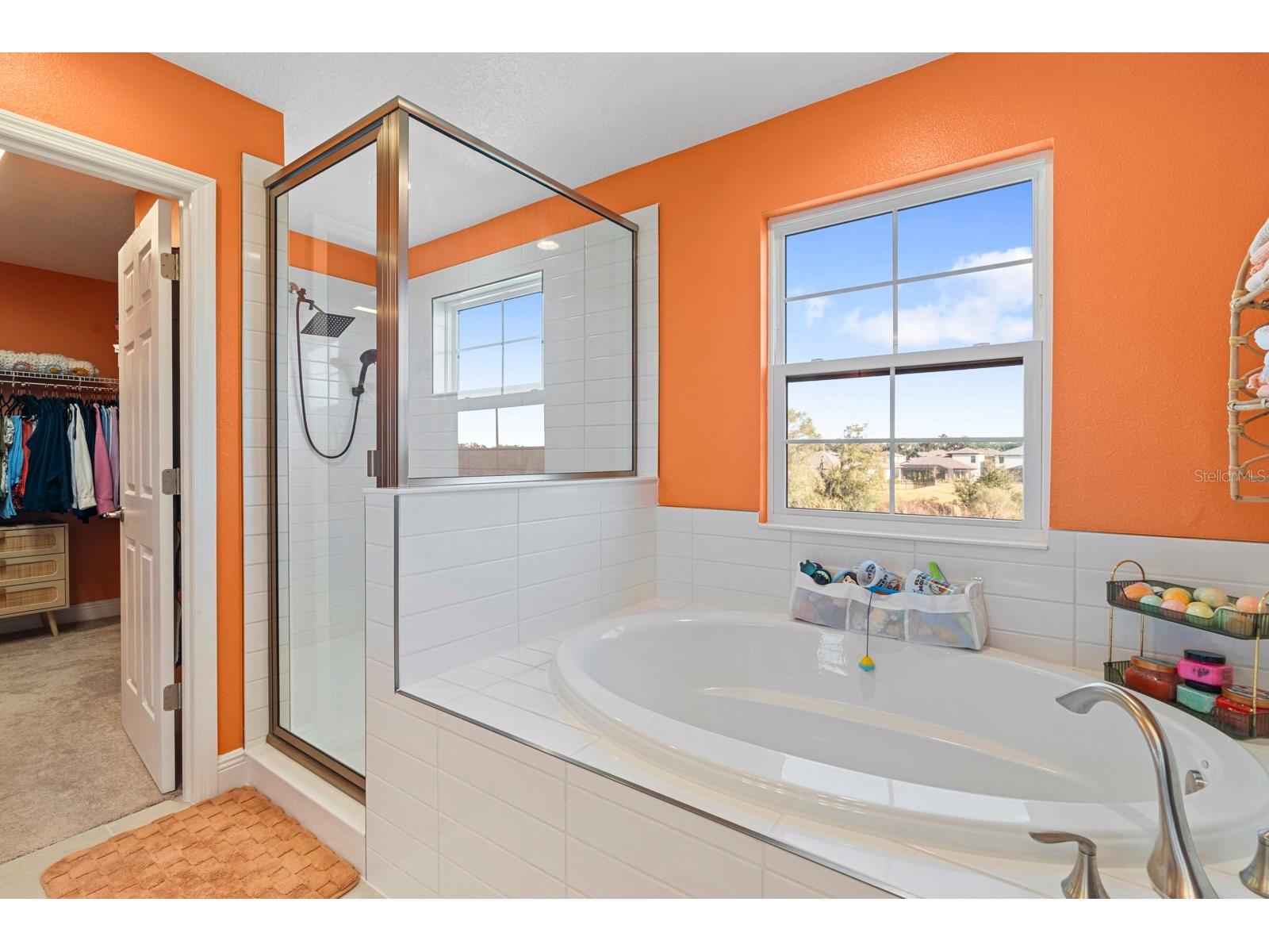 14661 Horse Trot Road Lithia FL 33547 TB8466377 image24
