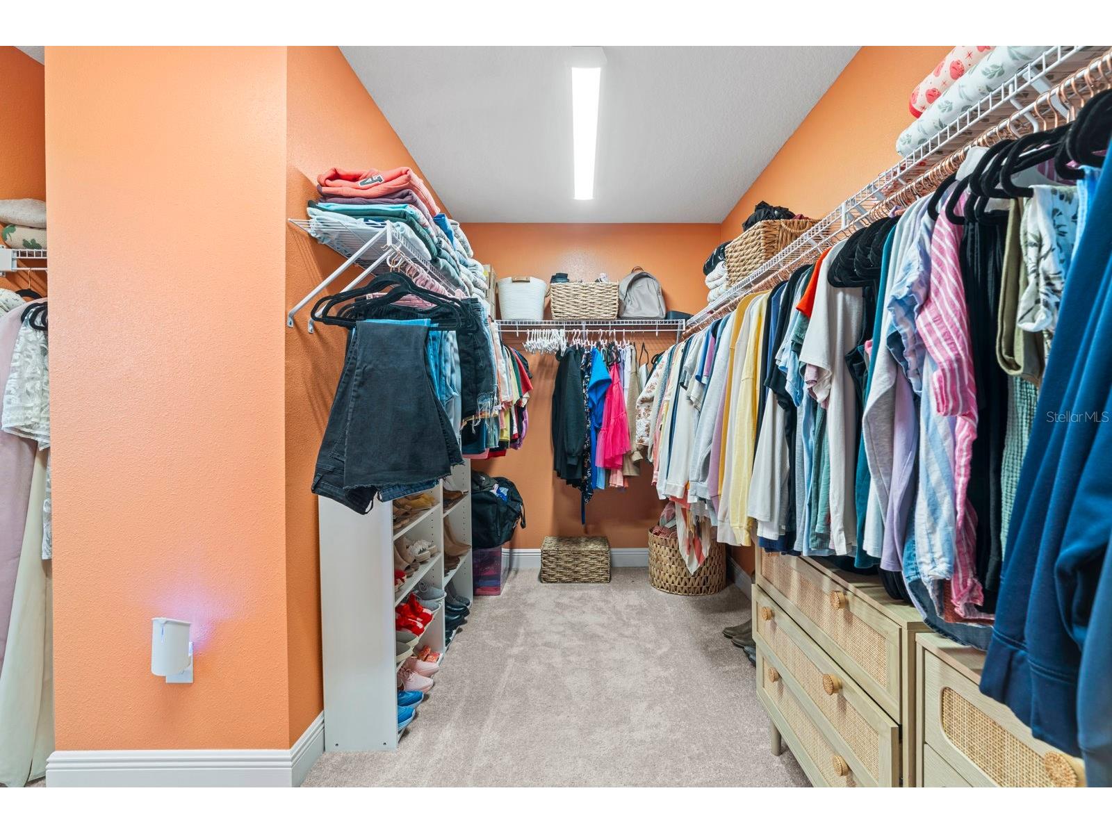 14661 Horse Trot Road Lithia FL 33547 TB8466377 image26