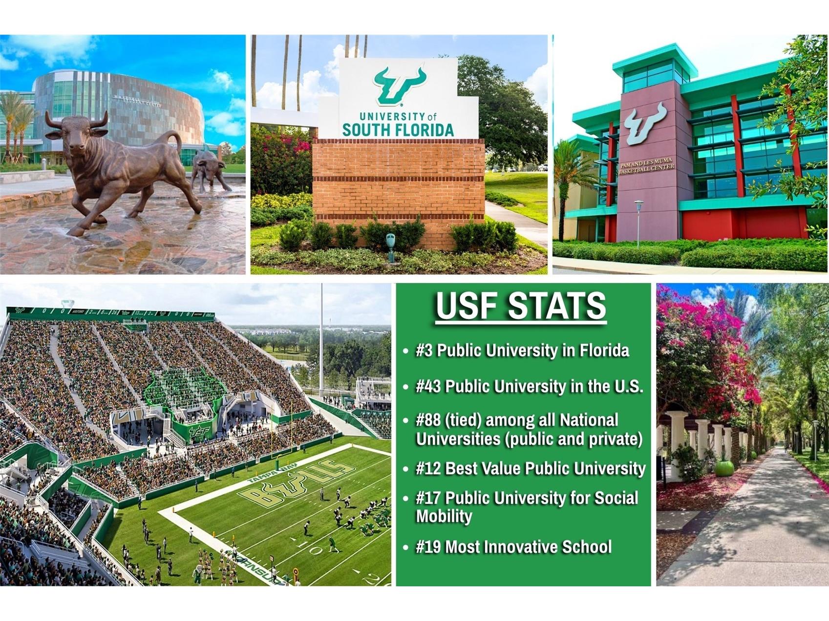 14662 Norwood Oaks Drive #104 Tampa FL 33613 TB8525731 image29