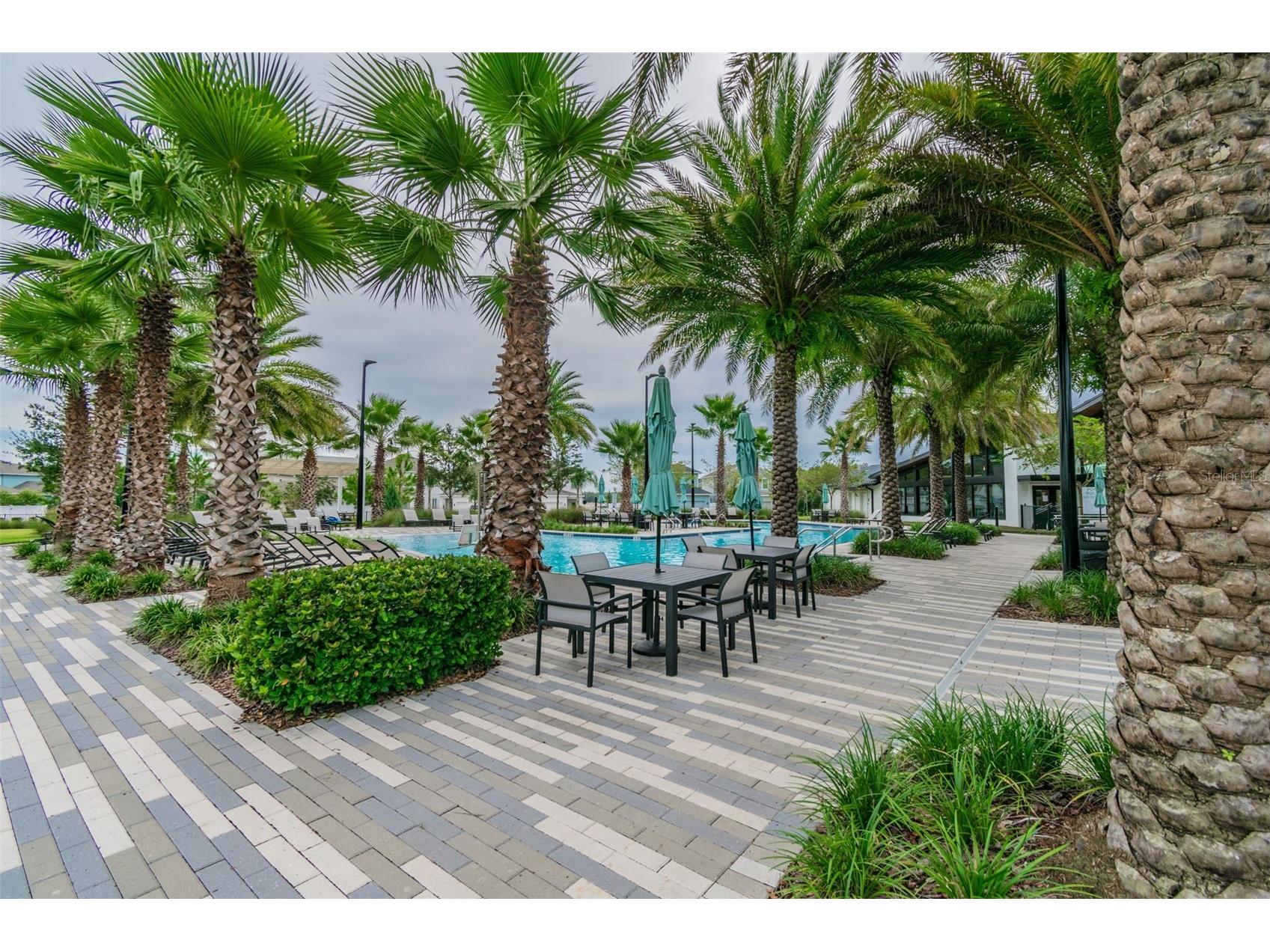 14663 Promenade Parkway Odessa FL 33556 O6380835 image53