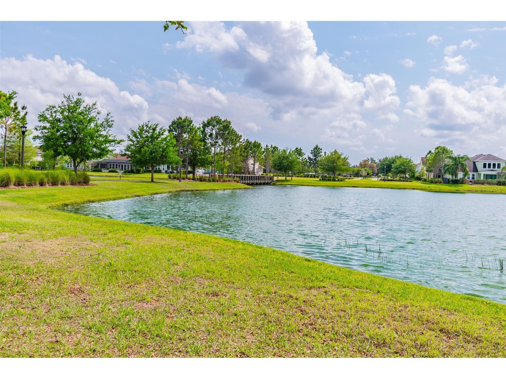 14663 Promenade Parkway Odessa FL 33556 O6380835 image76