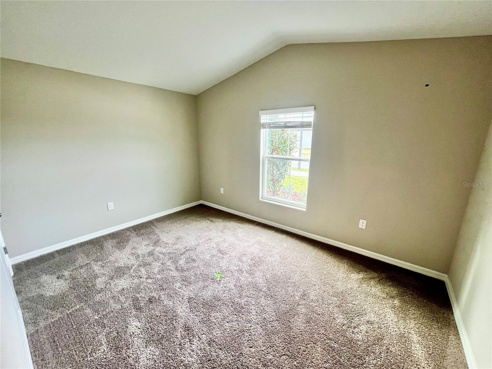 14664 Gallop Run Drive Lithia FL 33547 TB8502045 image10