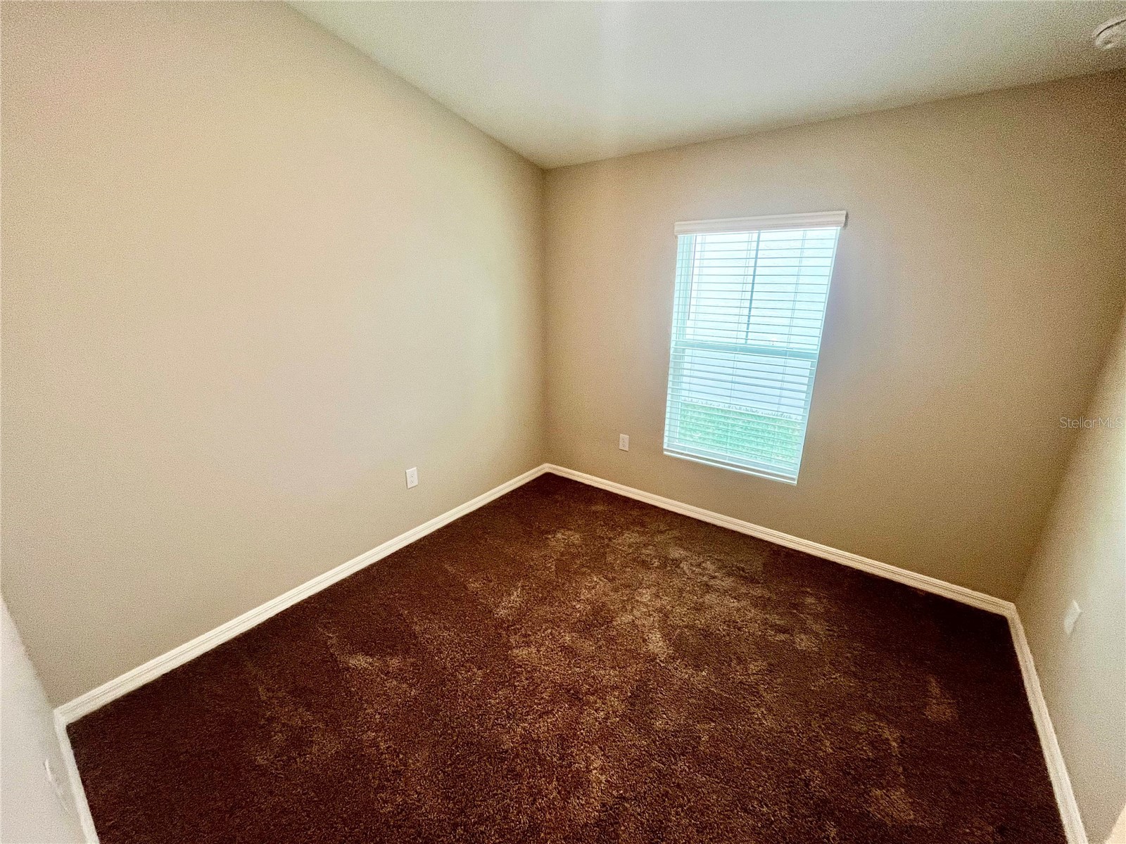 14664 Gallop Run Drive Lithia FL 33547 TB8502045 image12