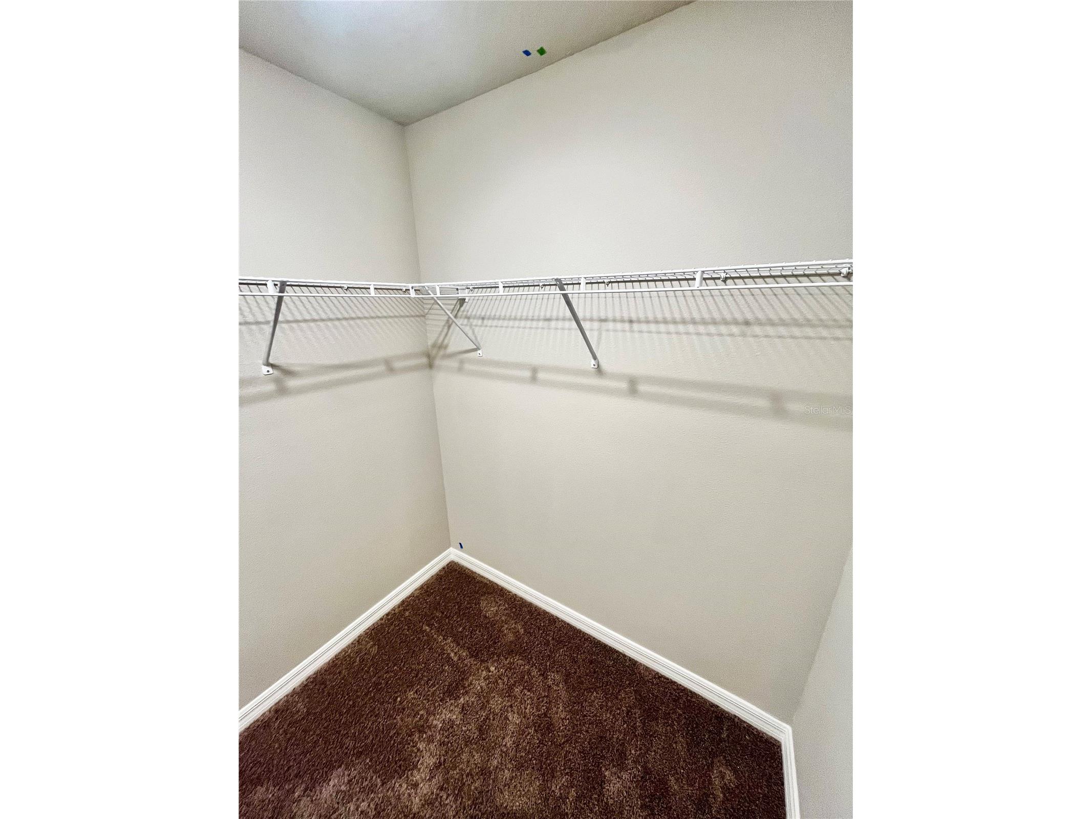 14664 Gallop Run Drive Lithia FL 33547 TB8502045 image21
