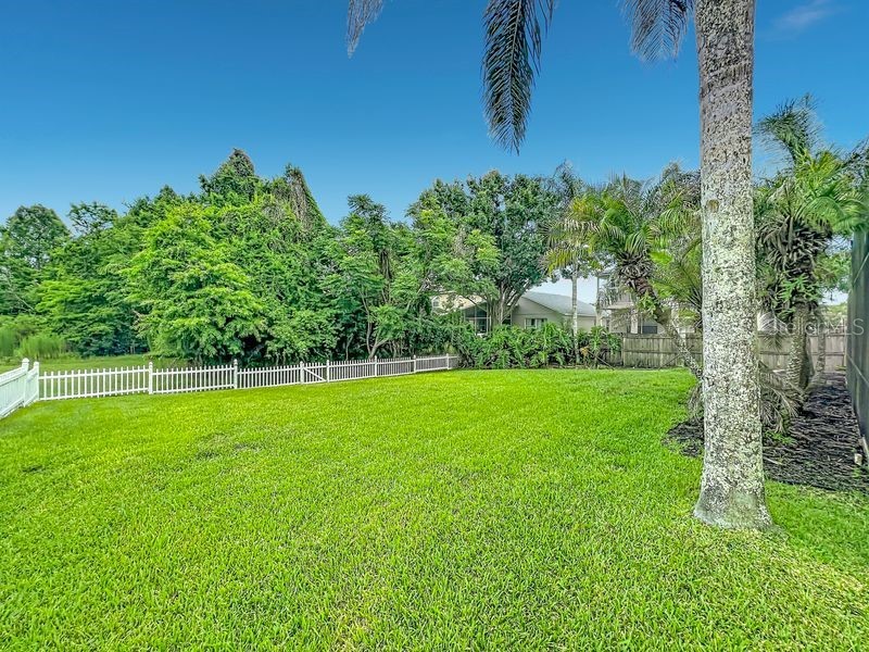 14664 Saint Georges Hill Drive Orlando FL 32828 O6418846 image84