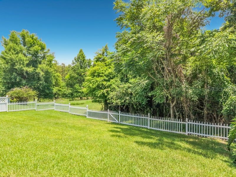 14664 Saint Georges Hill Drive Orlando FL 32828 O6418846 image88
