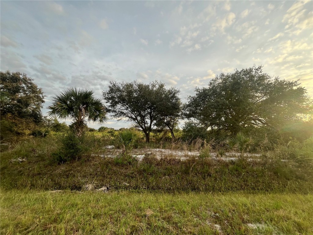 14666 NW 306th Street Okeechobee FL 34972 OK224679 image1