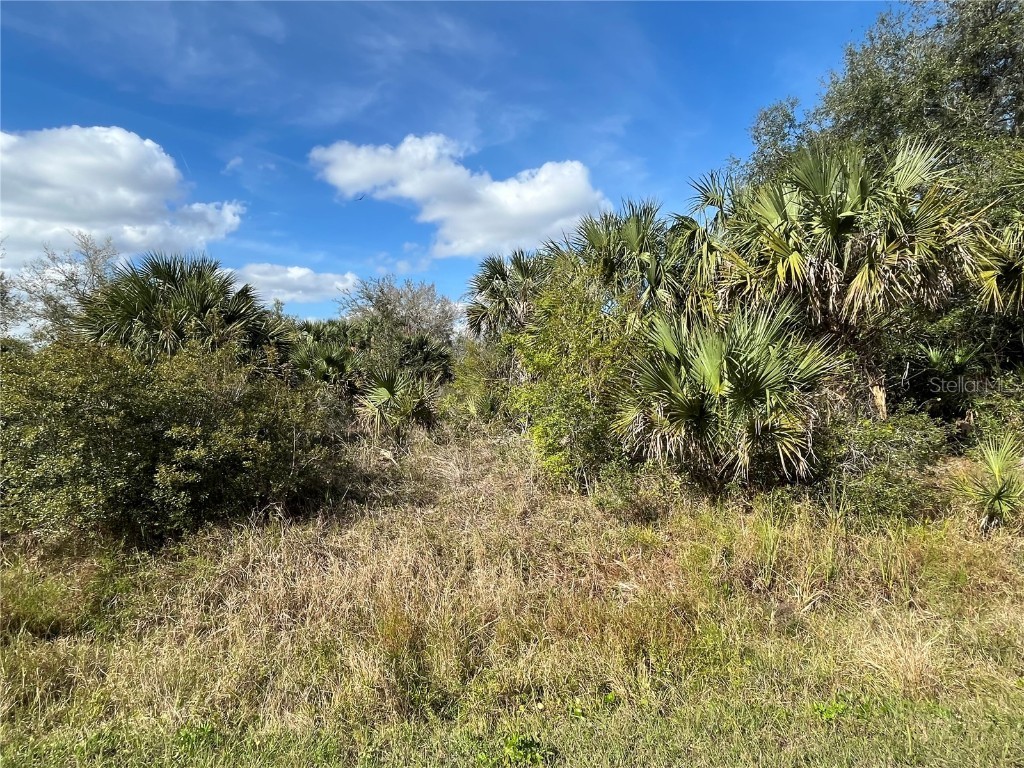 14667 NW 294th Street Okeechobee FL 34972 OK225331 image1