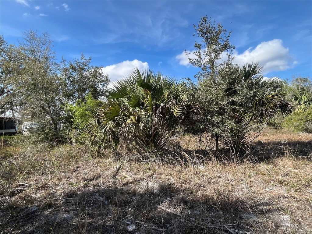 14667 NW 294th Street Okeechobee FL 34972 OK225331 image3