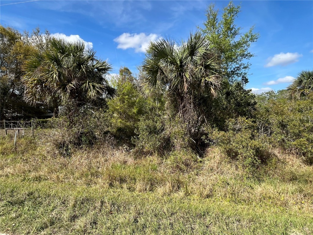 14667 NW 294th Street Okeechobee FL 34972 OK225331 image5