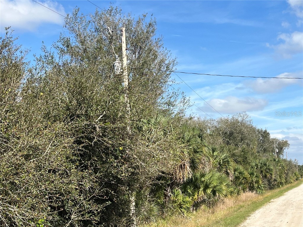 14667 NW 294th Street Okeechobee FL 34972 OK225331 image7