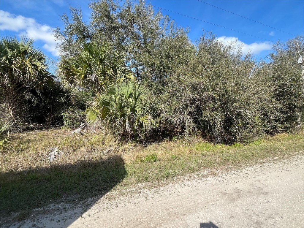 14667 NW 294th Street Okeechobee FL 34972 OK225331 image8