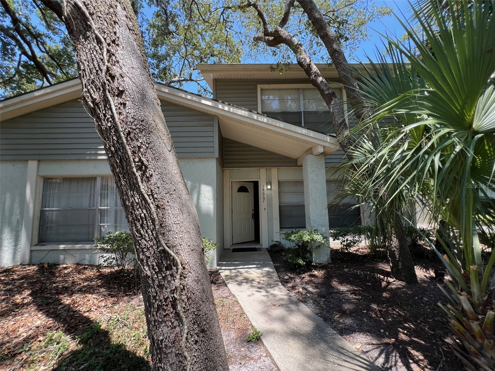 14667 Pine Glen Creek #14667 Lutz FL 33559 TB8389701 image1