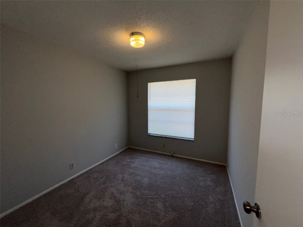 14667 Pine Glen Creek #14667 Lutz FL 33559 TB8389701 image10