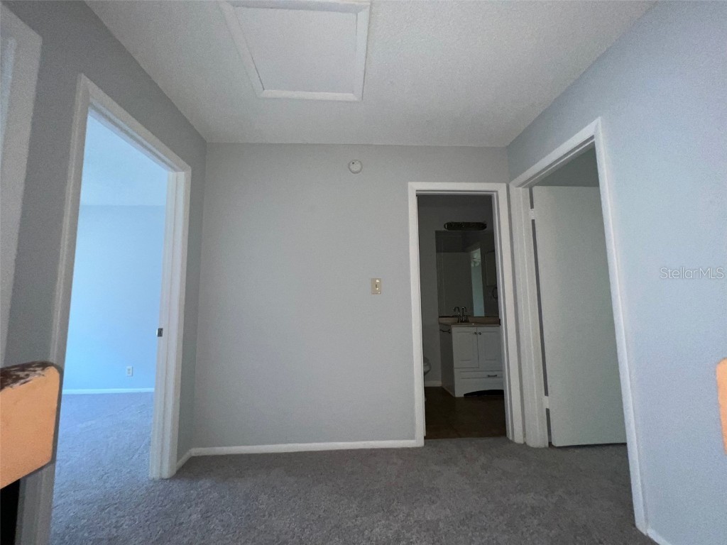 14667 Pine Glen Creek #14667 Lutz FL 33559 TB8389701 image11