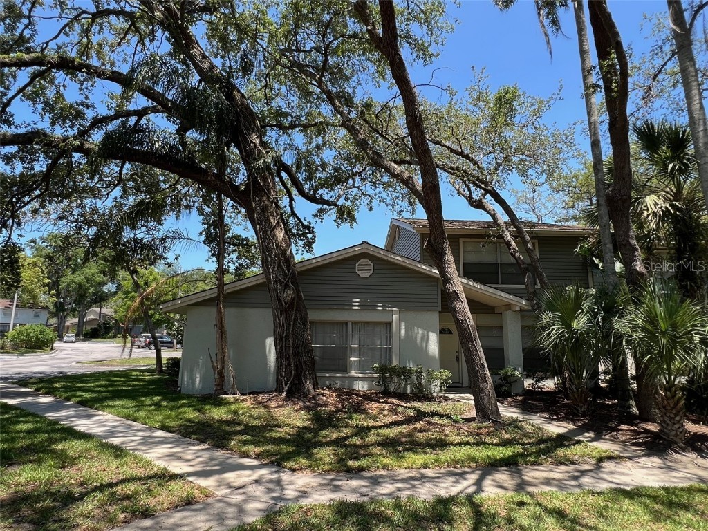 14667 Pine Glen Creek #14667 Lutz FL 33559 TB8389701 image2