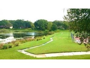 14667 Pine Glen Creek #14667 Lutz FL 33559 TB8389701 image21