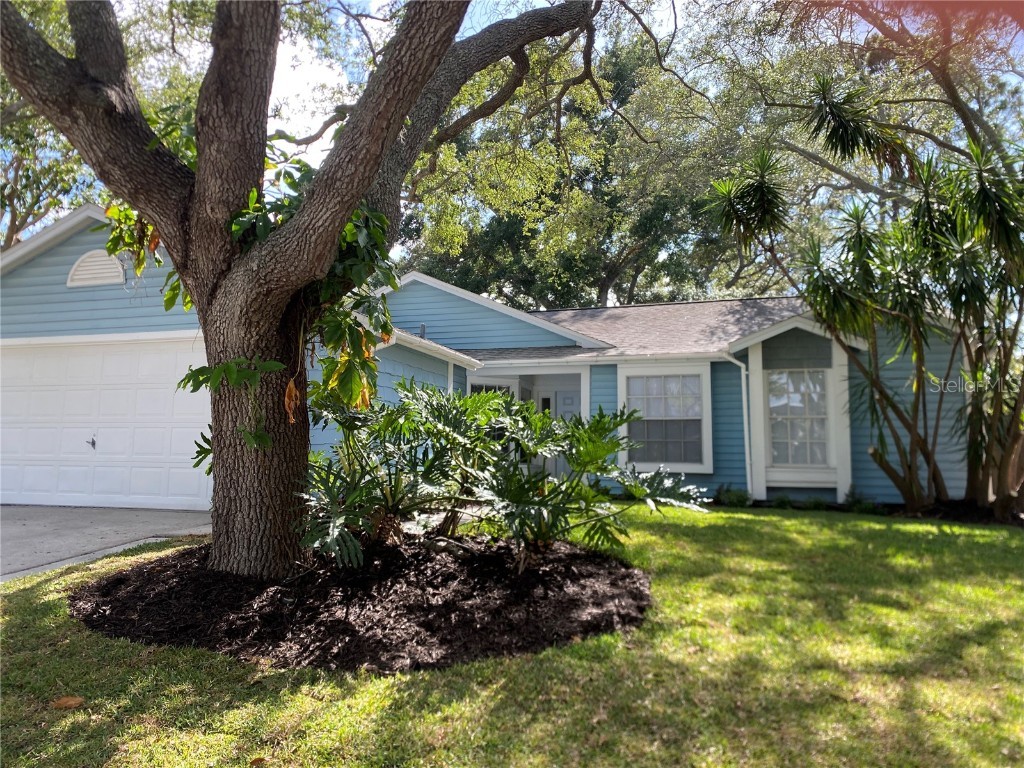 1467 Noell Boulevard Palm Harbor FL 34683 U8201093 image1